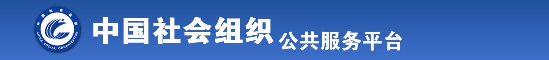 操插抽男男小说漫画动漫全国社会组织信息查询